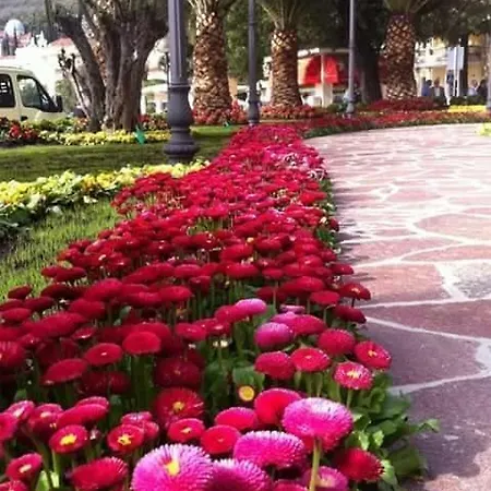 Apartamento Amorino *